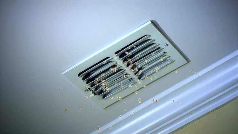 Best Best Air Duct Cleaning Company  in Bridgetown, MS